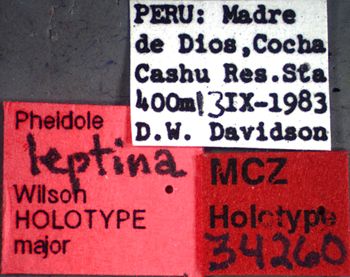 Media type: image;   Entomology 34260 Aspect: labels